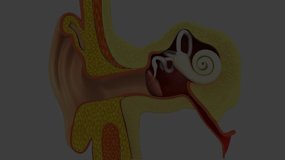 ETD Persistant Section Background