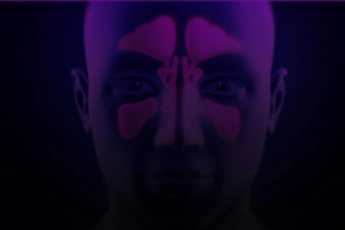 Head with sinus cavities highlighted